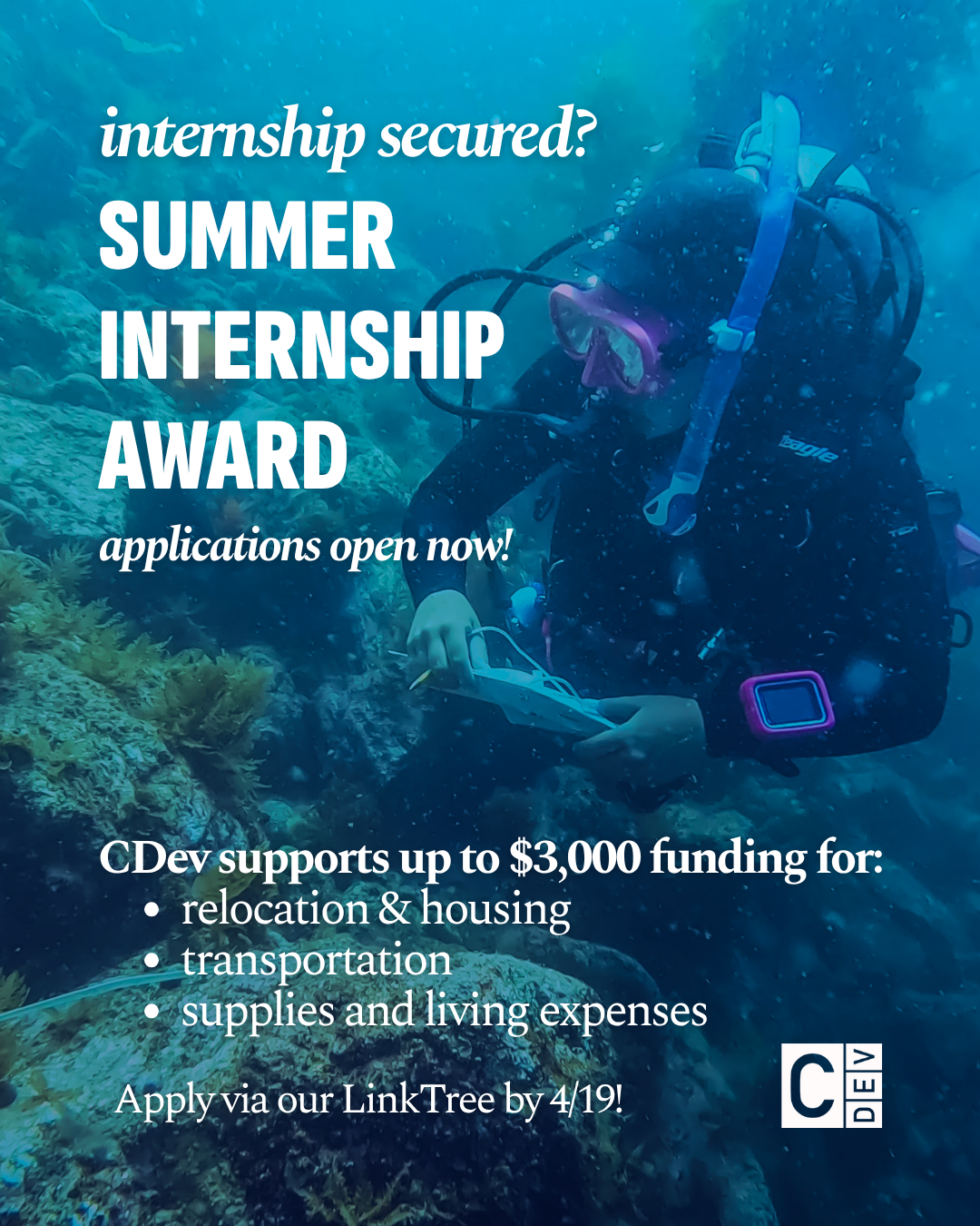 Summer Internship Award post